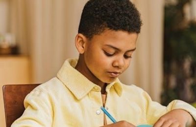 origins of american government guided reading activity